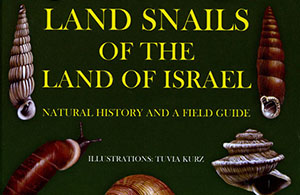 Land snails of ISrael